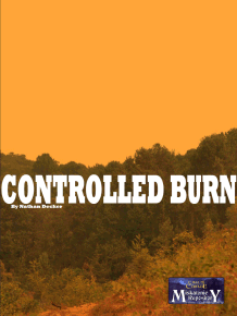 The publication Logo