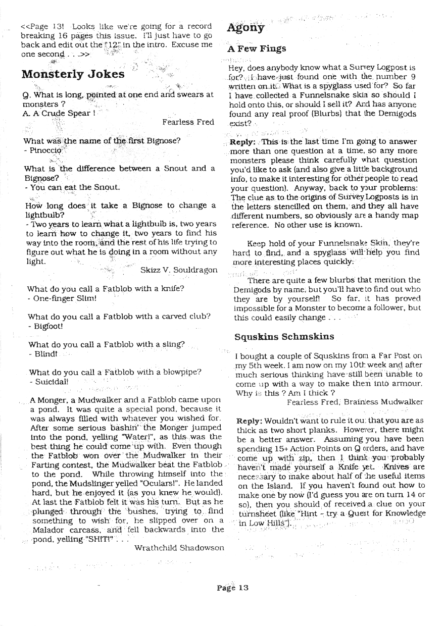 Page 13